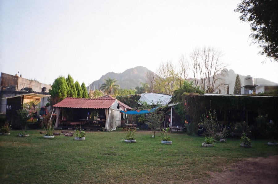 Film photograph