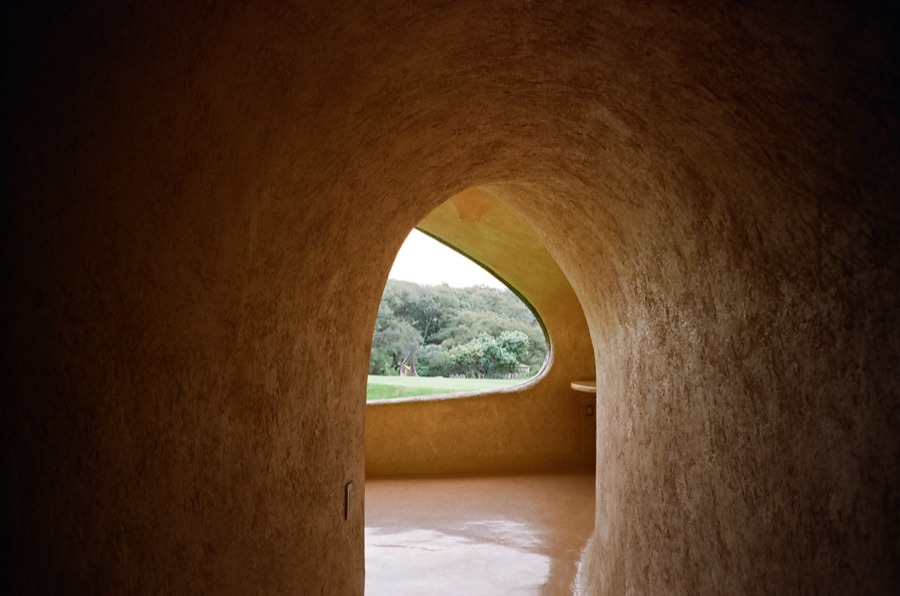 Film photograph