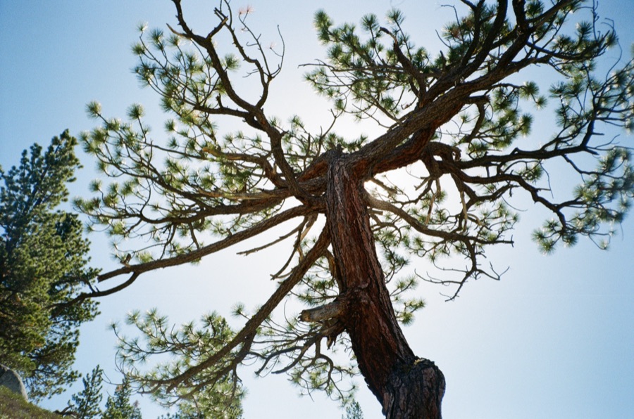 Film photograph