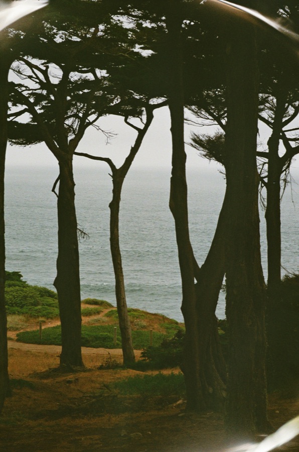 Film photograph