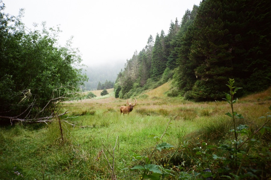 Film photograph