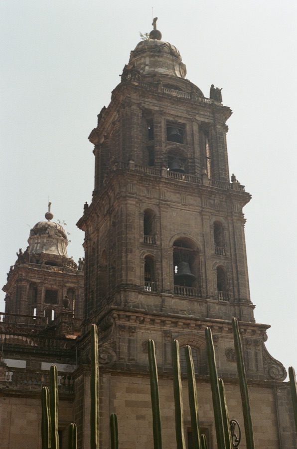 Film photograph