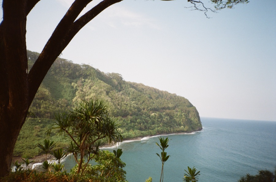 Film photograph