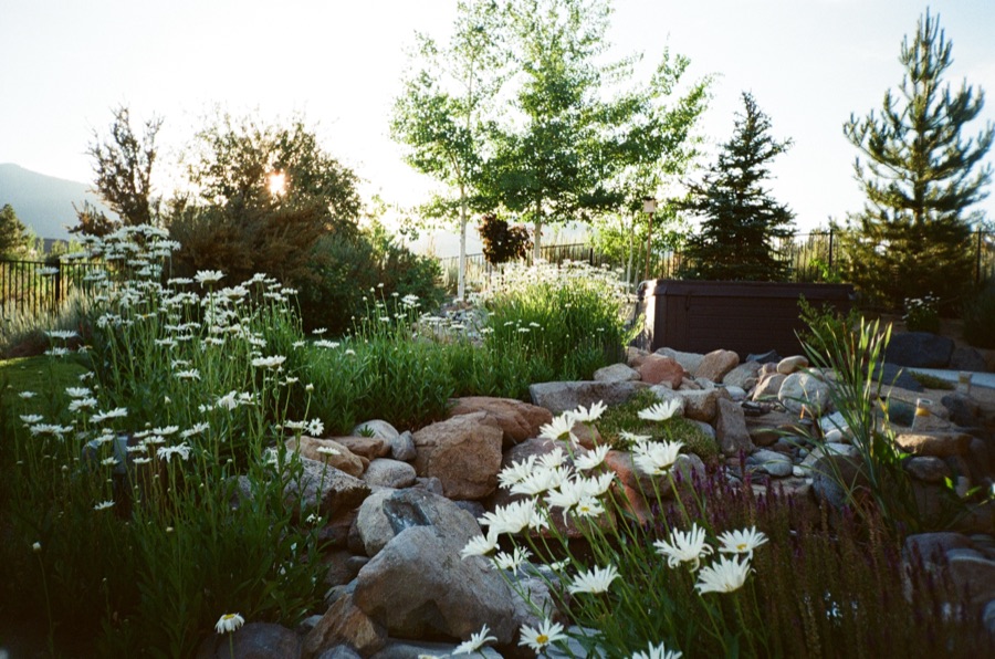 Film photograph