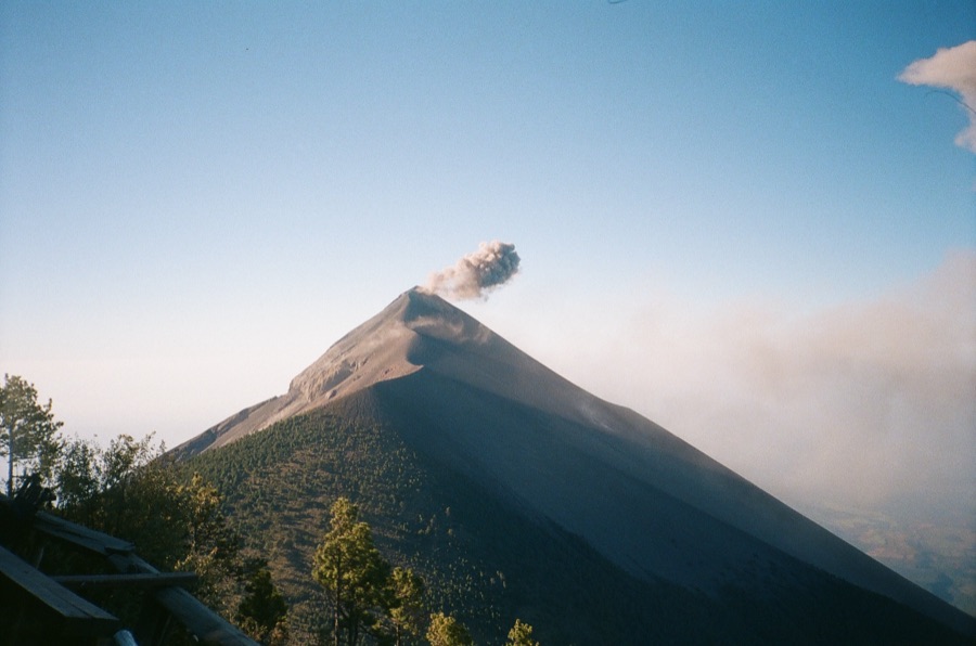 Film photograph