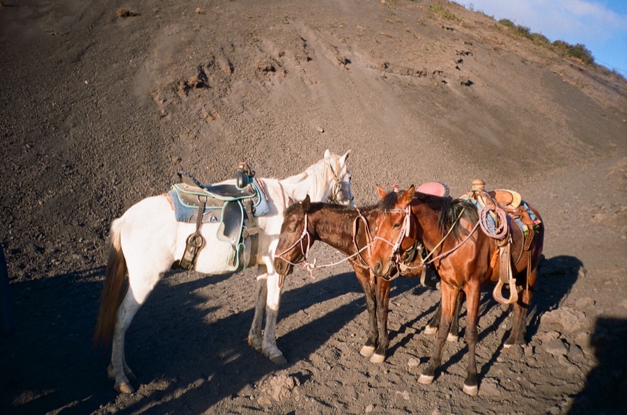 Film photograph
