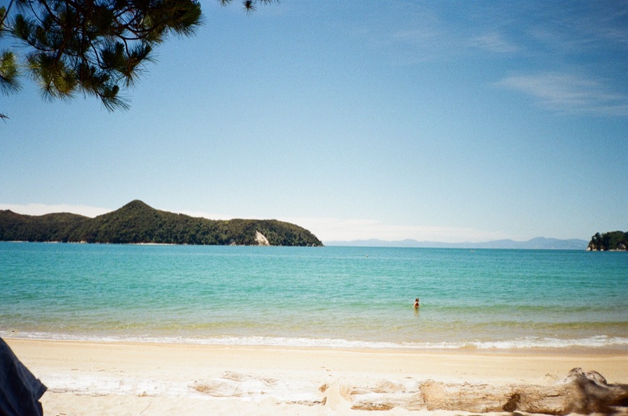 Film photograph