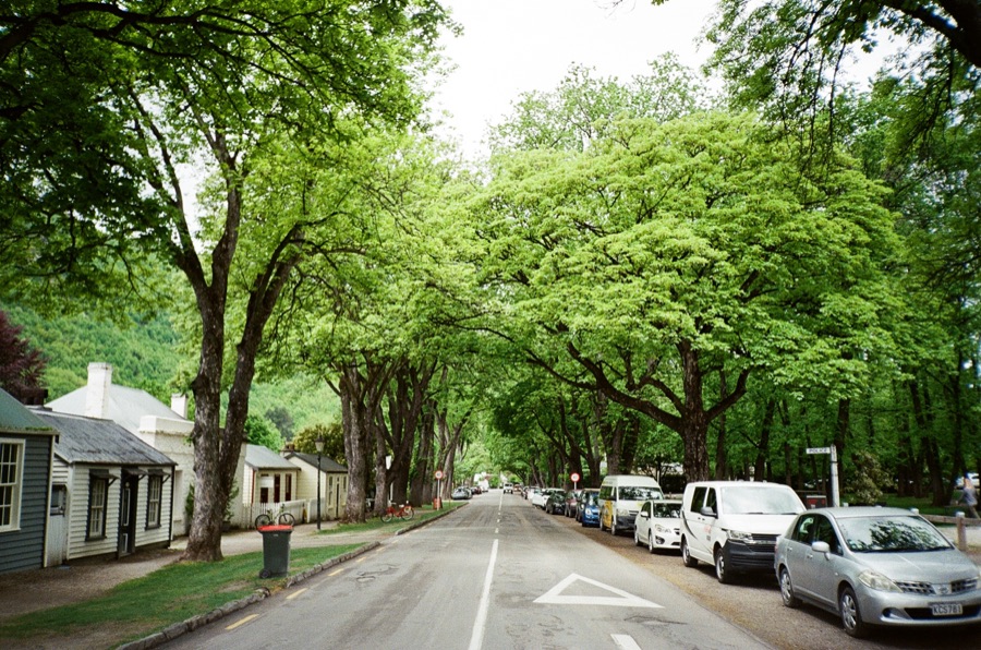 Film photograph