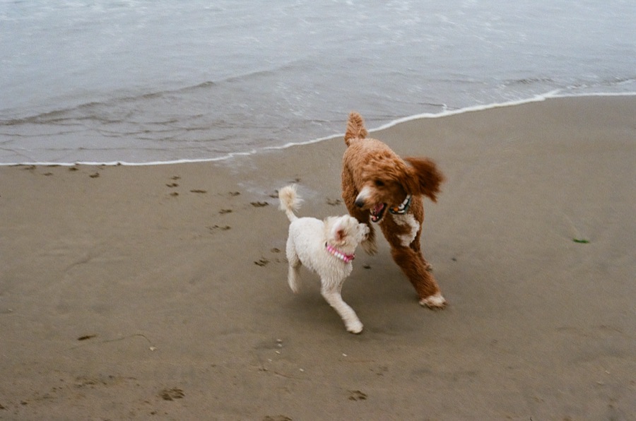 Film photograph