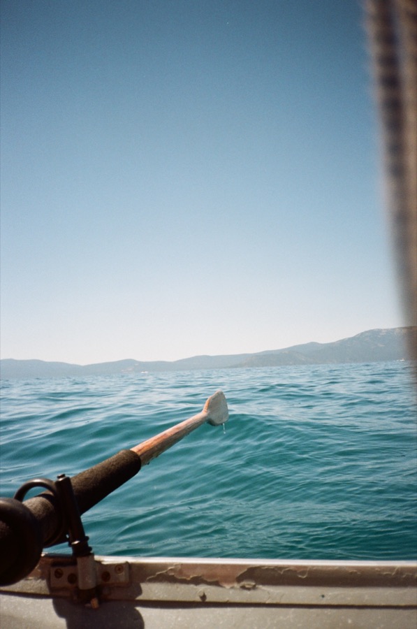 Film photograph
