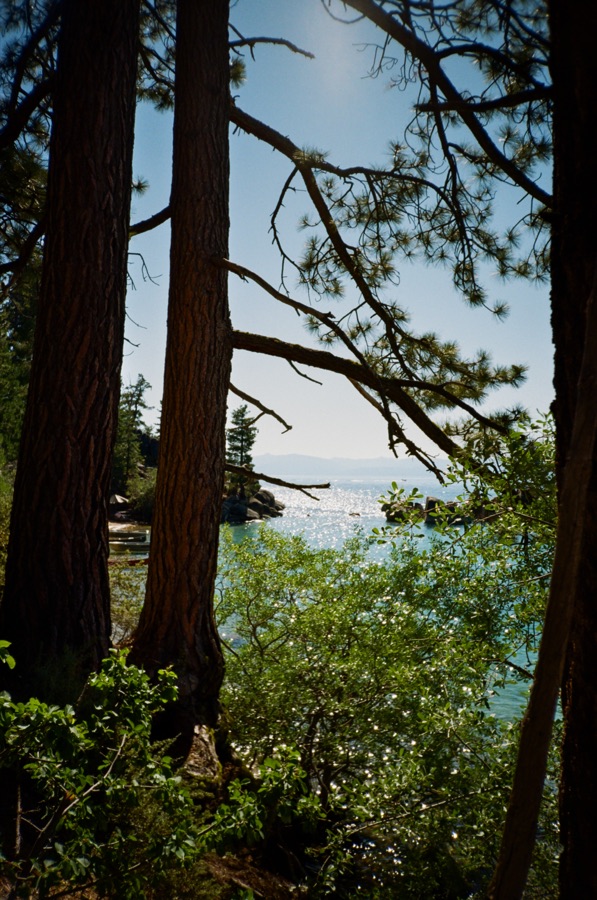 Film photograph