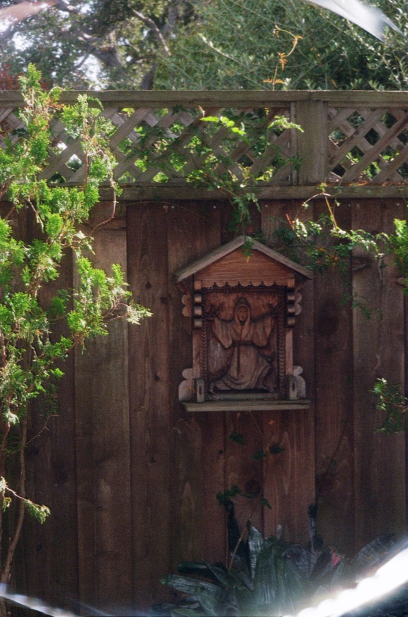Film photograph