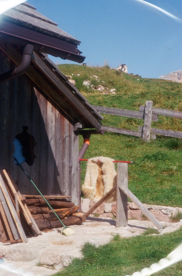 Film photograph
