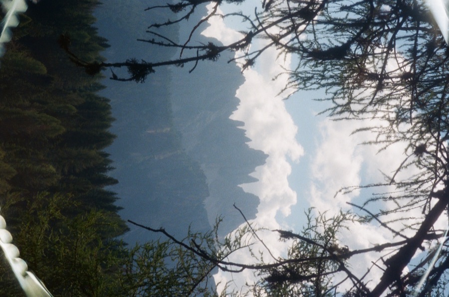 Film photograph