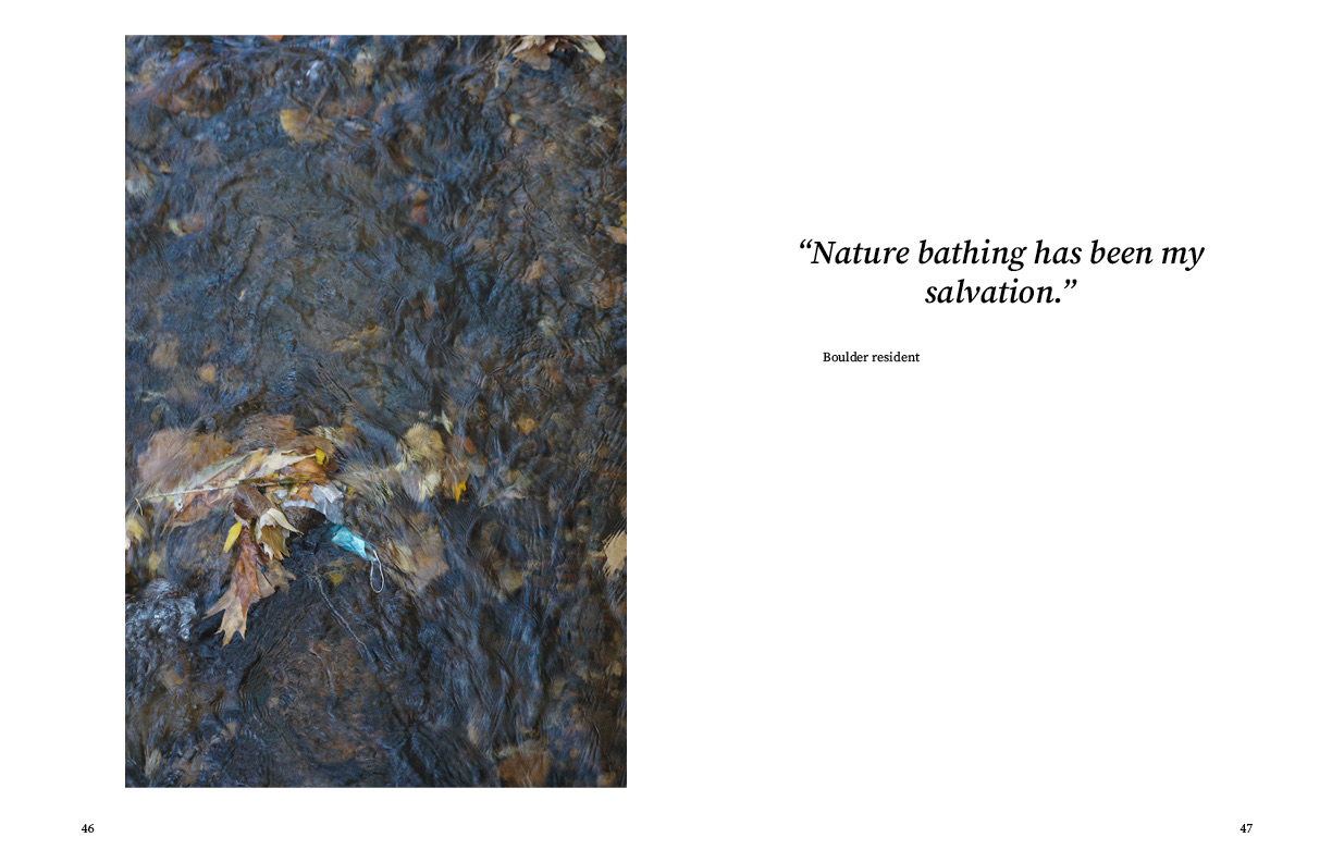 Foresight photobook page